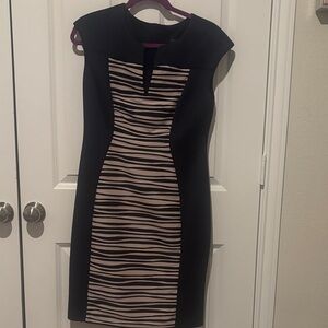 Connected Apparel Navy and Pink Striped Dress